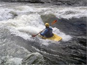 446_L_Gauley