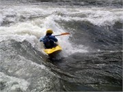 447_L_Gauley