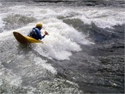 448_L_Gauley