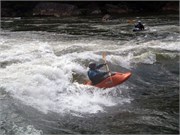 459_L_Gauley