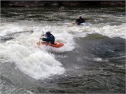 491_L_Gauley