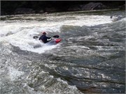 593_L_Gauley