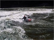 641_L_Gauley