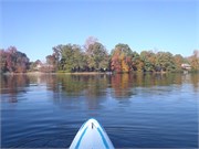 9544_Leaves