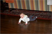 12184_Louisville