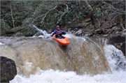 02192011_Cheoah_D90_2108