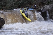 02192011_Cheoah_D90_658