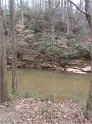 02192011_Glendale_Walk_10