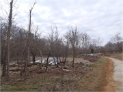 02192011_Glendale_Walk_19