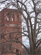 02192011_Glendale_Walk_32