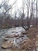 02192011_Glendale_Walk_8