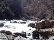 03022011_Doe_Gorge_Hugh_28