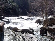 03022011_Doe_Gorge_Hugh_32
