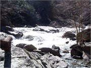 03022011_Doe_Gorge_Hugh_33