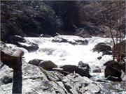 03022011_Doe_Gorge_Hugh_34