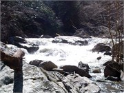 03022011_Doe_Gorge_Hugh_35