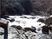 03022011_Doe_Gorge_Hugh_39