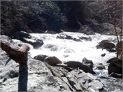 03022011_Doe_Gorge_Hugh_43