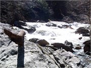03022011_Doe_Gorge_Hugh_44