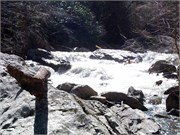 03022011_Doe_Gorge_Hugh_45