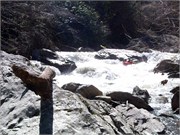 03022011_Doe_Gorge_Hugh_46