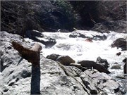03022011_Doe_Gorge_Hugh_47
