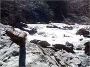 03022011_Doe_Gorge_Hugh_51