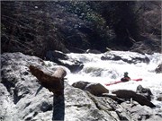 03022011_Doe_Gorge_Hugh_53