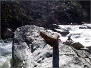 03022011_Doe_Gorge_Hugh_55
