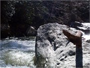 03022011_Doe_Gorge_Hugh_56