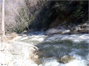 03022011_Doe_Gorge_Hugh_74