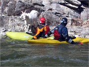 03022011_Doe_Gorge_Hugh_79