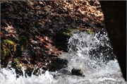 03122011A_JonesGap_CaesarsHead_100