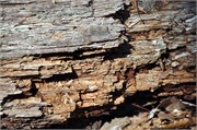 03122011A_JonesGap_CaesarsHead_158