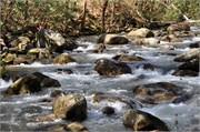 03122011A_JonesGap_CaesarsHead_22
