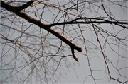 03122011A_JonesGap_CaesarsHead_3