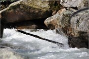 03122011A_JonesGap_CaesarsHead_41