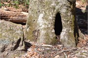 03122011A_JonesGap_CaesarsHead_46