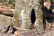 03122011A_JonesGap_CaesarsHead_47