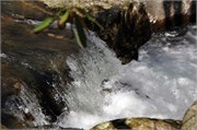 03122011A_JonesGap_CaesarsHead_56