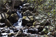 03122011A_JonesGap_CaesarsHead_68
