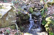 03122011A_JonesGap_CaesarsHead_90