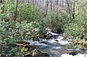 03122011A_JonesGap_CaesarsHead_93