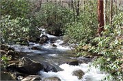 03122011A_JonesGap_CaesarsHead_94