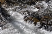03122011B_JonesGap_CeasarsHead_118