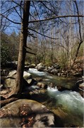 03122011B_JonesGap_CeasarsHead_36