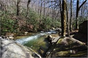 03122011B_JonesGap_CeasarsHead_46