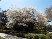 P3250064