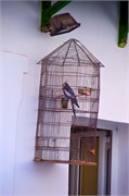 1040_Pylos_A