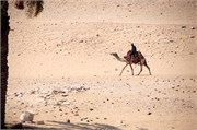 1203__Luxor_a